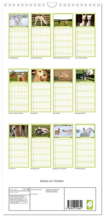 Alpakas zum Verlieben (CALVENDO Familienplaner 2026)