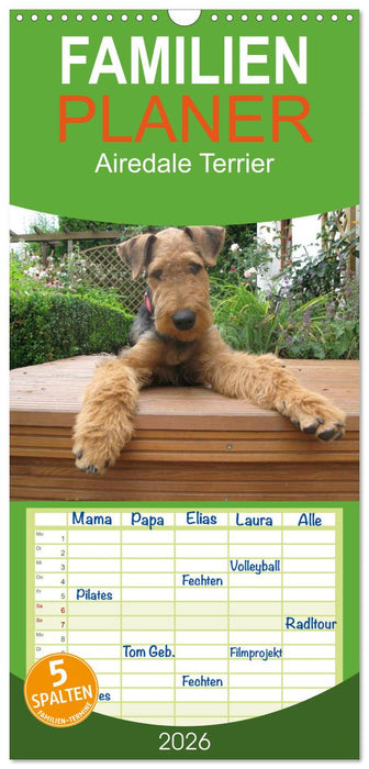 Airedale Terrier (CALVENDO Familienplaner 2026)