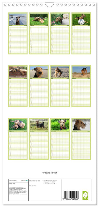 Airedale Terrier (CALVENDO Familienplaner 2026)