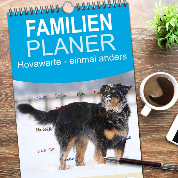 Hovawarte - einmal anders (CALVENDO Familienplaner 2026)