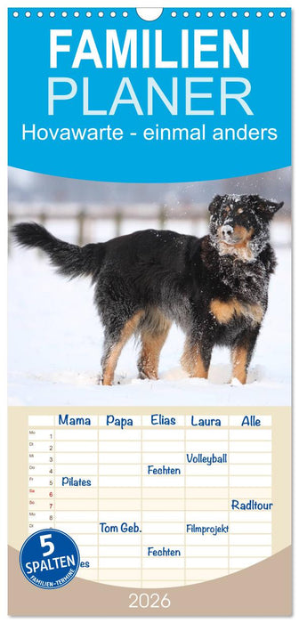 Hovawarte - einmal anders (CALVENDO Familienplaner 2026)