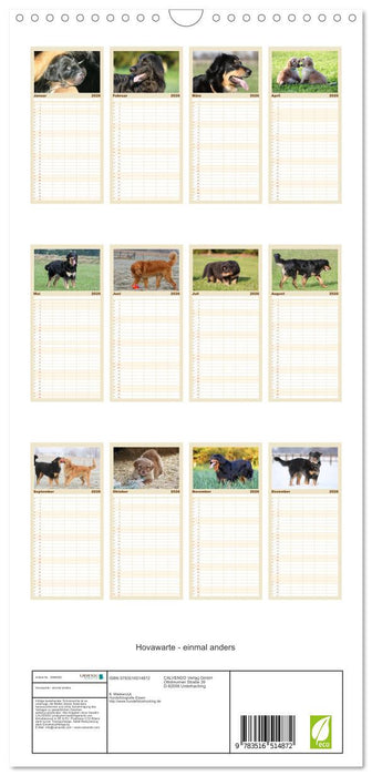 Hovawarte - einmal anders (CALVENDO Familienplaner 2026)