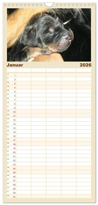 Hovawarte - einmal anders (CALVENDO Familienplaner 2026)