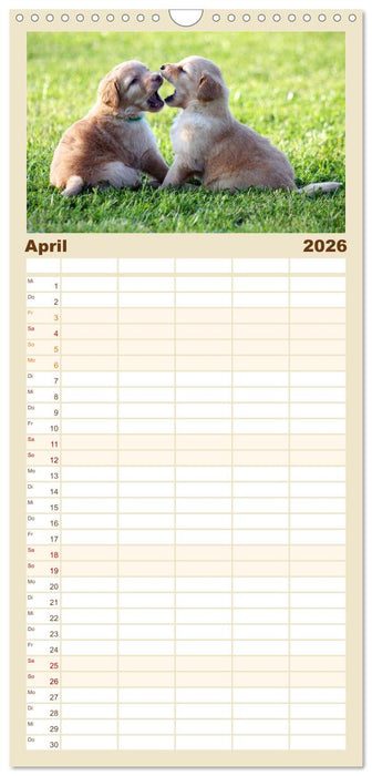 Hovawarte - einmal anders (CALVENDO Familienplaner 2026)