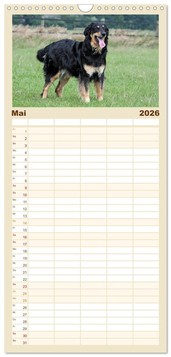 Hovawarte - einmal anders (CALVENDO Familienplaner 2026)