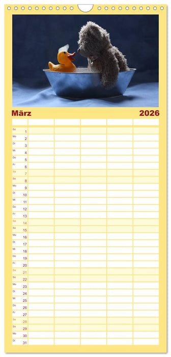 Bärentraum (CALVENDO Familienplaner 2026)