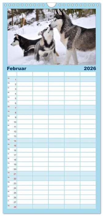 Husky-Kalender (CALVENDO Familienplaner 2026)