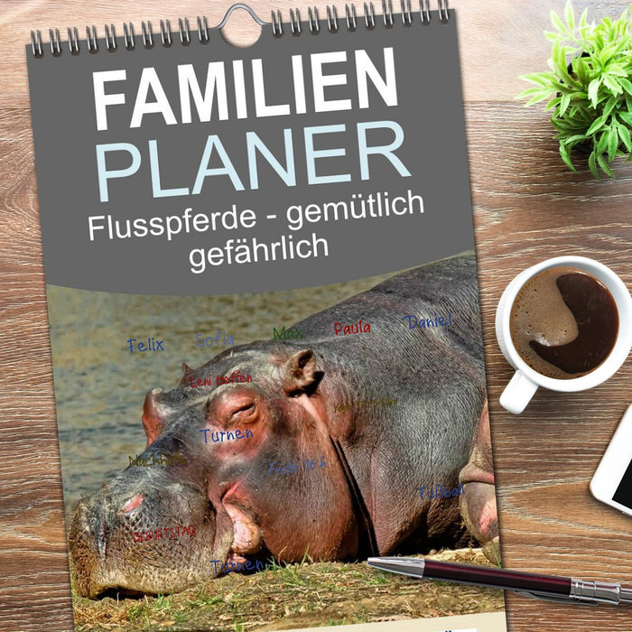 Flusspferde - gemütlich gefährlich (CALVENDO Familienplaner 2026)