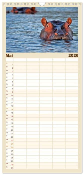 Flusspferde - gemütlich gefährlich (CALVENDO Familienplaner 2026)