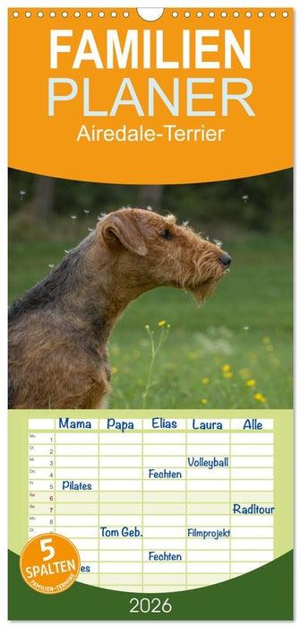 Airedale-Terrier, was sonst! (CALVENDO Familienplaner 2026)