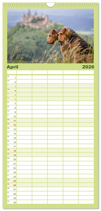 Airedale-Terrier, was sonst! (CALVENDO Familienplaner 2026)