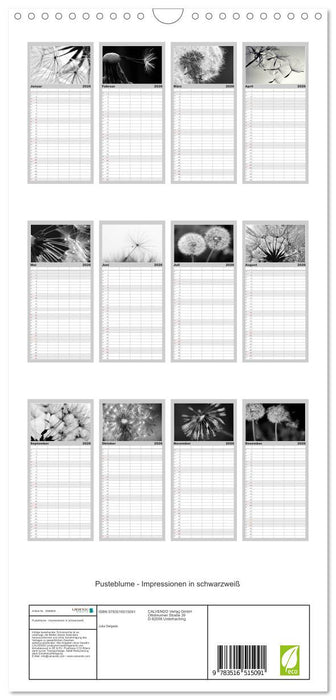 Pusteblume - Impressionen in schwarzweiß (CALVENDO Familienplaner 2026)