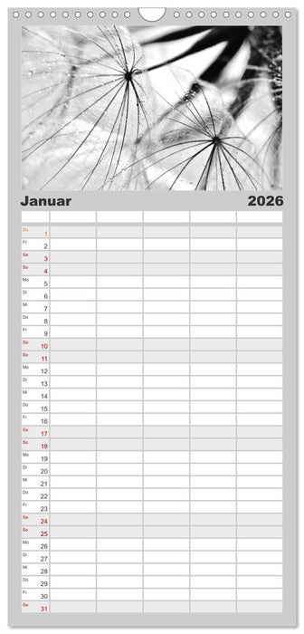 Pusteblume - Impressionen in schwarzweiß (CALVENDO Familienplaner 2026)