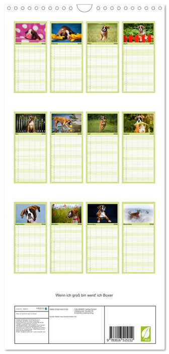 Wenn ich groß bin werd' ich Boxer (CALVENDO Familienplaner 2026)