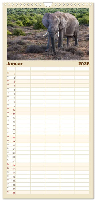 Südafrika - Garden Route (CALVENDO Familienplaner 2026)