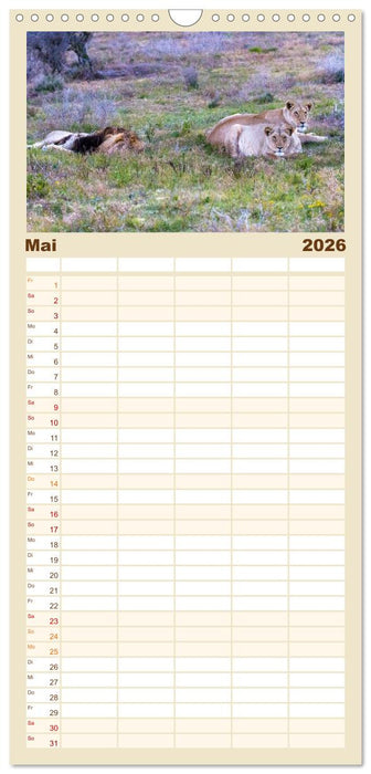 Südafrika - Garden Route (CALVENDO Familienplaner 2026)