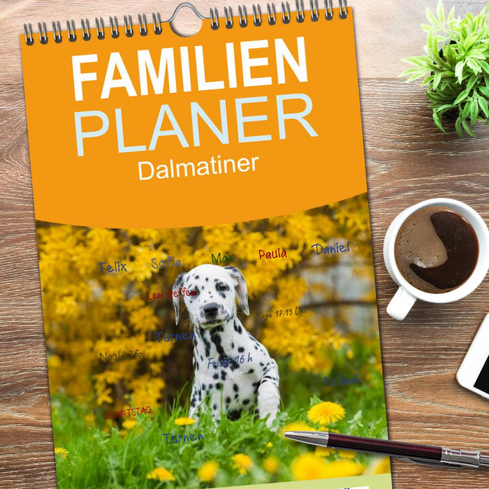 Dalmatiner (CALVENDO Familienplaner 2026)