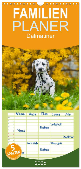 Dalmatiner (CALVENDO Familienplaner 2026)