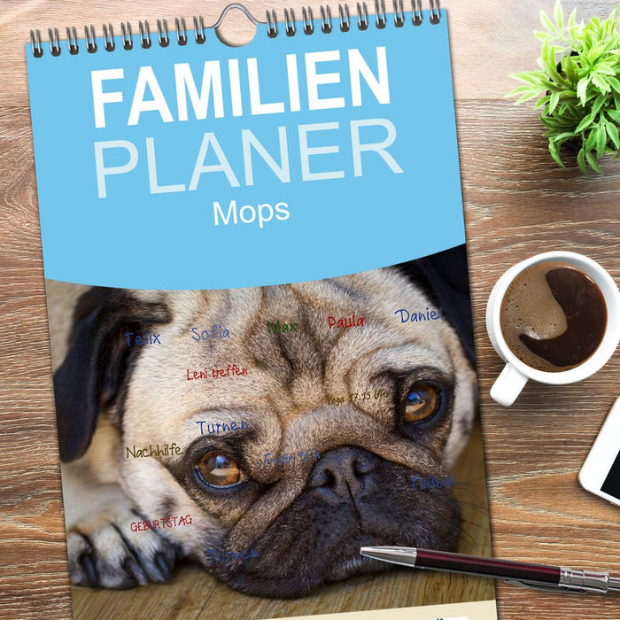 Mops (CALVENDO Familienplaner 2026)