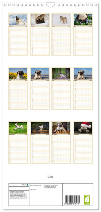 Mops (CALVENDO Familienplaner 2026)