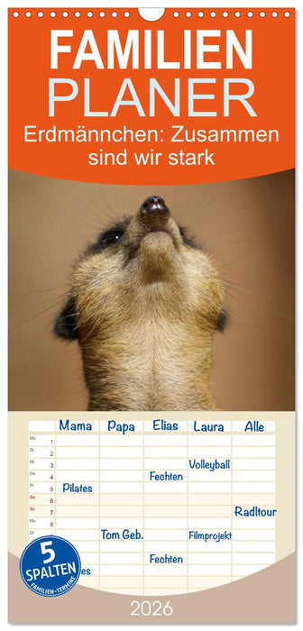 Erdmännchen: Zusammen sind wir stark (CALVENDO Familienplaner 2026)