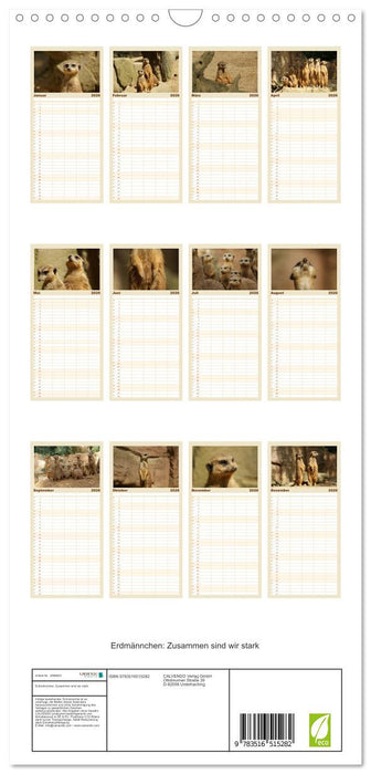 Erdmännchen: Zusammen sind wir stark (CALVENDO Familienplaner 2026)