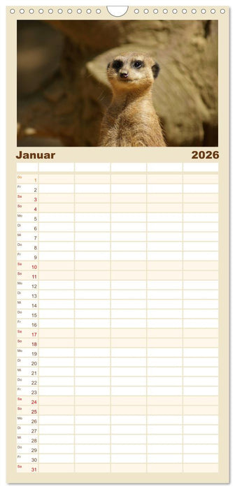 Erdmännchen: Zusammen sind wir stark (CALVENDO Familienplaner 2026)