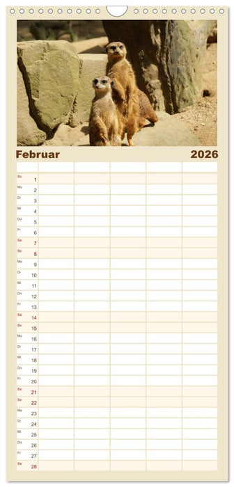 Erdmännchen: Zusammen sind wir stark (CALVENDO Familienplaner 2026)