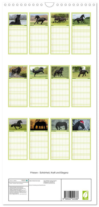 Friesen - Schönheit, Kraft und Eleganz (CALVENDO Familienplaner 2026)