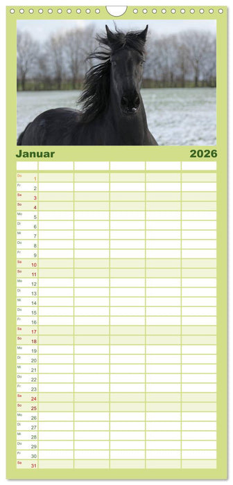 Friesen - Schönheit, Kraft und Eleganz (CALVENDO Familienplaner 2026)