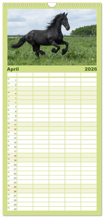 Friesen - Schönheit, Kraft und Eleganz (CALVENDO Familienplaner 2026)