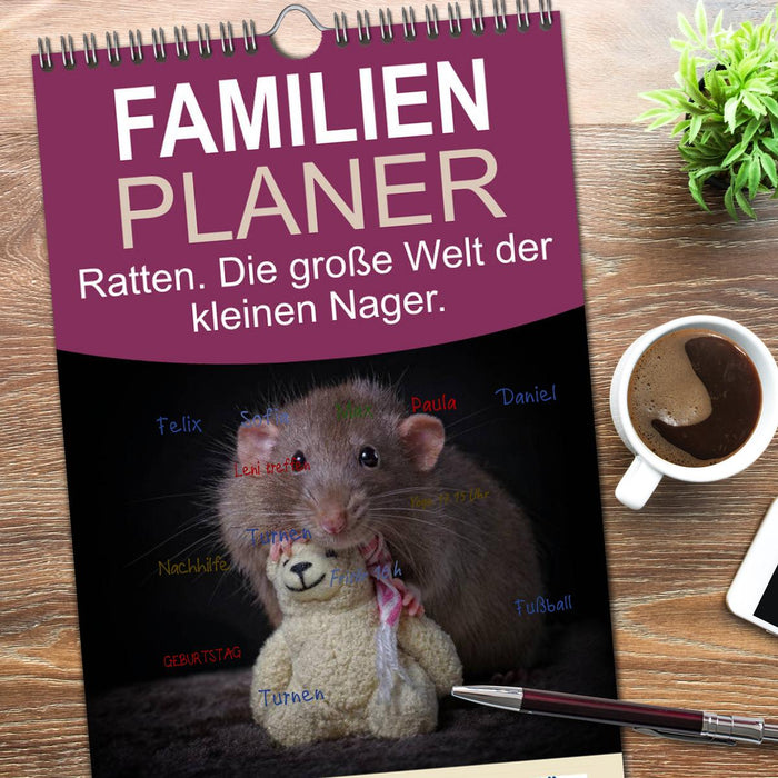 Ratten. Die große Welt der kleinen Nager (CALVENDO Familienplaner 2026)