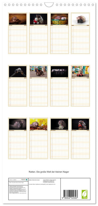 Ratten. Die große Welt der kleinen Nager (CALVENDO Familienplaner 2026)