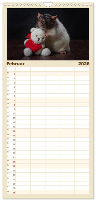 Ratten. Die große Welt der kleinen Nager (CALVENDO Familienplaner 2026)
