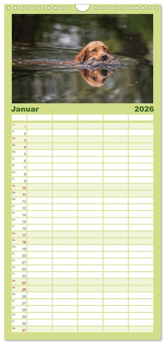 Jagdhunde bei der Arbeit (CALVENDO Familienplaner 2026)