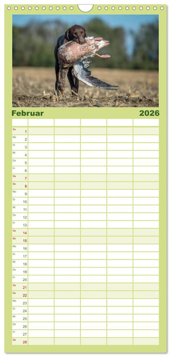 Jagdhunde bei der Arbeit (CALVENDO Familienplaner 2026)