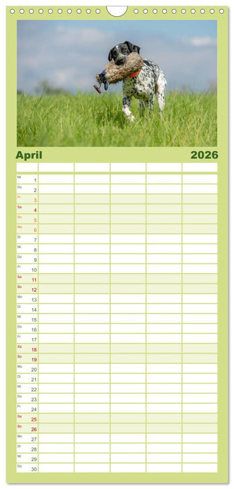 Jagdhunde bei der Arbeit (CALVENDO Familienplaner 2026)