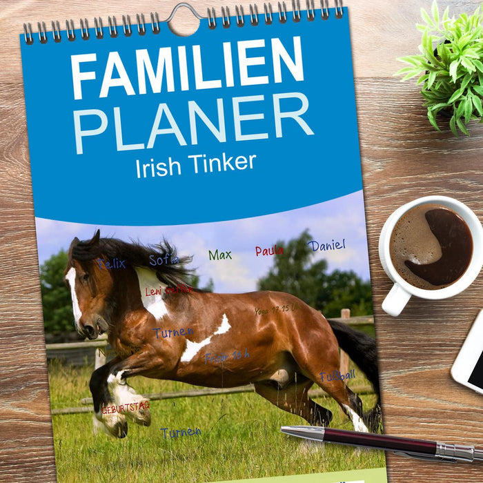 Irish Tinker (CALVENDO Familienplaner 2026)