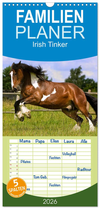Irish Tinker (CALVENDO Familienplaner 2026)