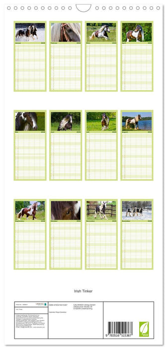Irish Tinker (CALVENDO Familienplaner 2026)