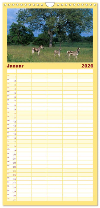 Südafrika Christian Heeb (CALVENDO Familienplaner 2026)