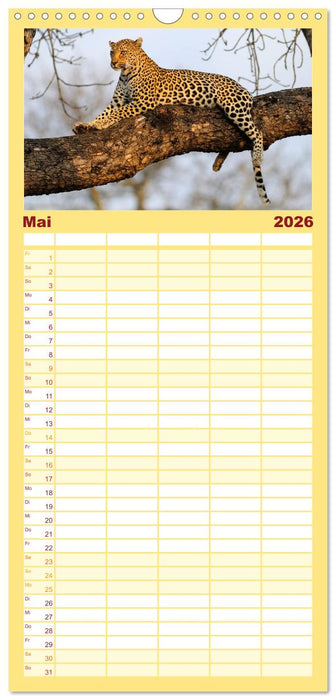 Südafrika Christian Heeb (CALVENDO Familienplaner 2026)