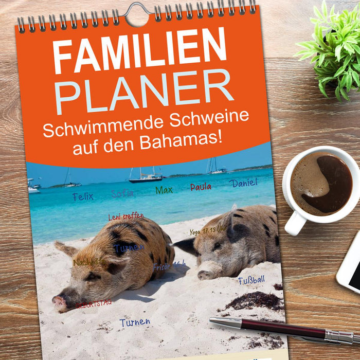 Schwimmende Schweine auf den Bahamas! (CALVENDO Familienplaner 2026)