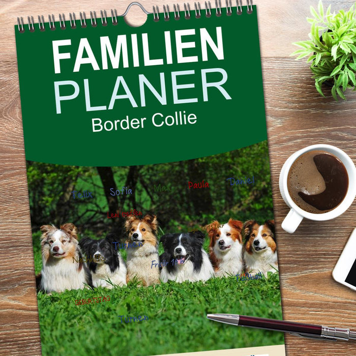 Border Collie 2026 (CALVENDO Familienplaner 2026)