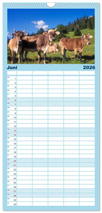 Graubünden Engadin (CALVENDO Familienplaner 2026)