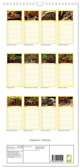 Vogelspinnen - Tarantulas (CALVENDO Familienplaner 2026)