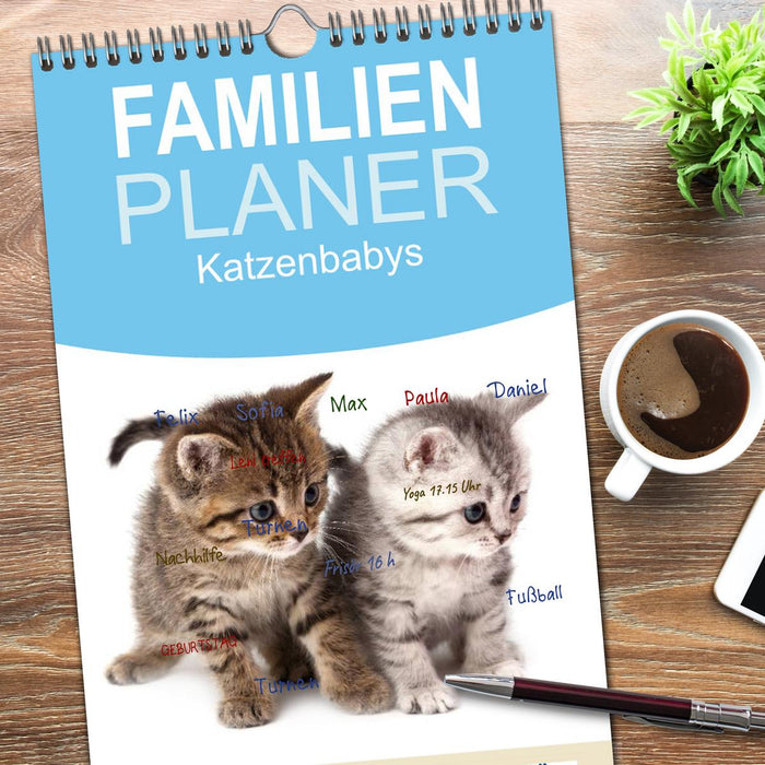 Katzenbabys (CALVENDO Familienplaner 2026)