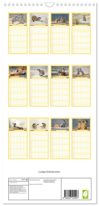 Lustige Erdmännchen (CALVENDO Familienplaner 2026)