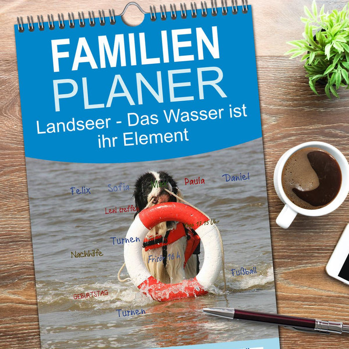Landseer - Das Wasser ist ihr Element (CALVENDO Familienplaner 2026)