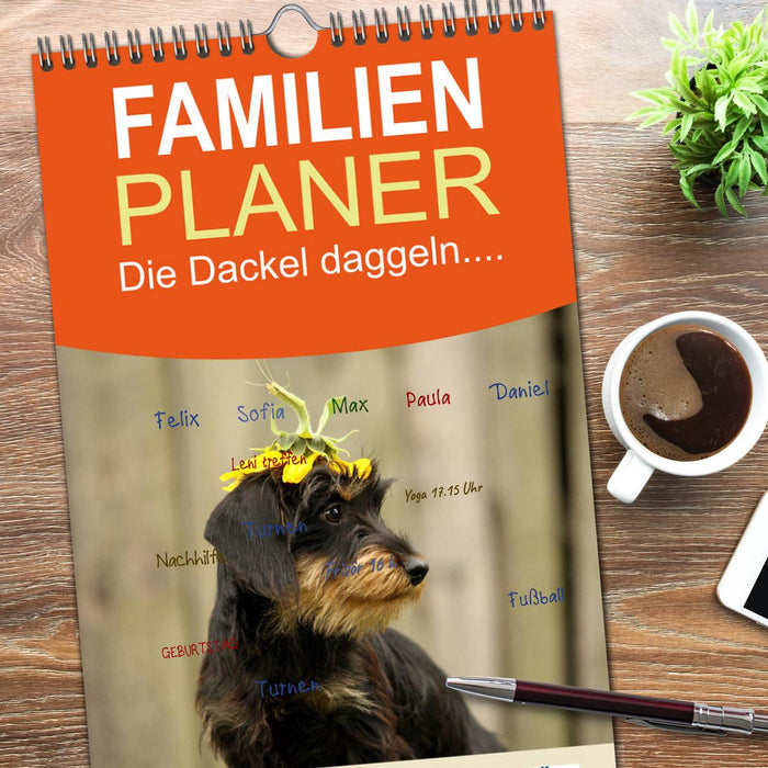 Die Dackel daggeln.... (CALVENDO Familienplaner 2026)